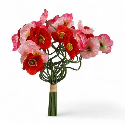 BUNDLE ANEMONE X 24 ROSA